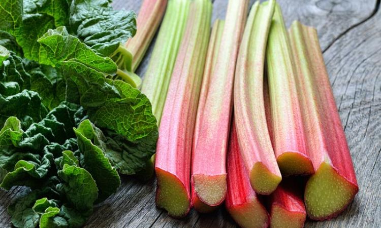 Rhubarb’s Wellbeing Benefits and Dietary Data