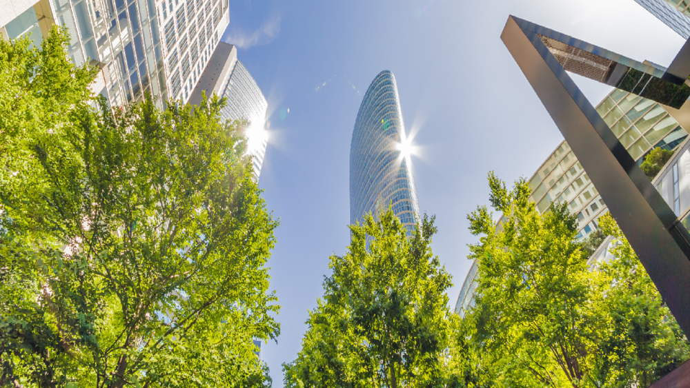 Joe Cianciotto Provides an Introduction to Co-Living Spaces Joe Cianciotto